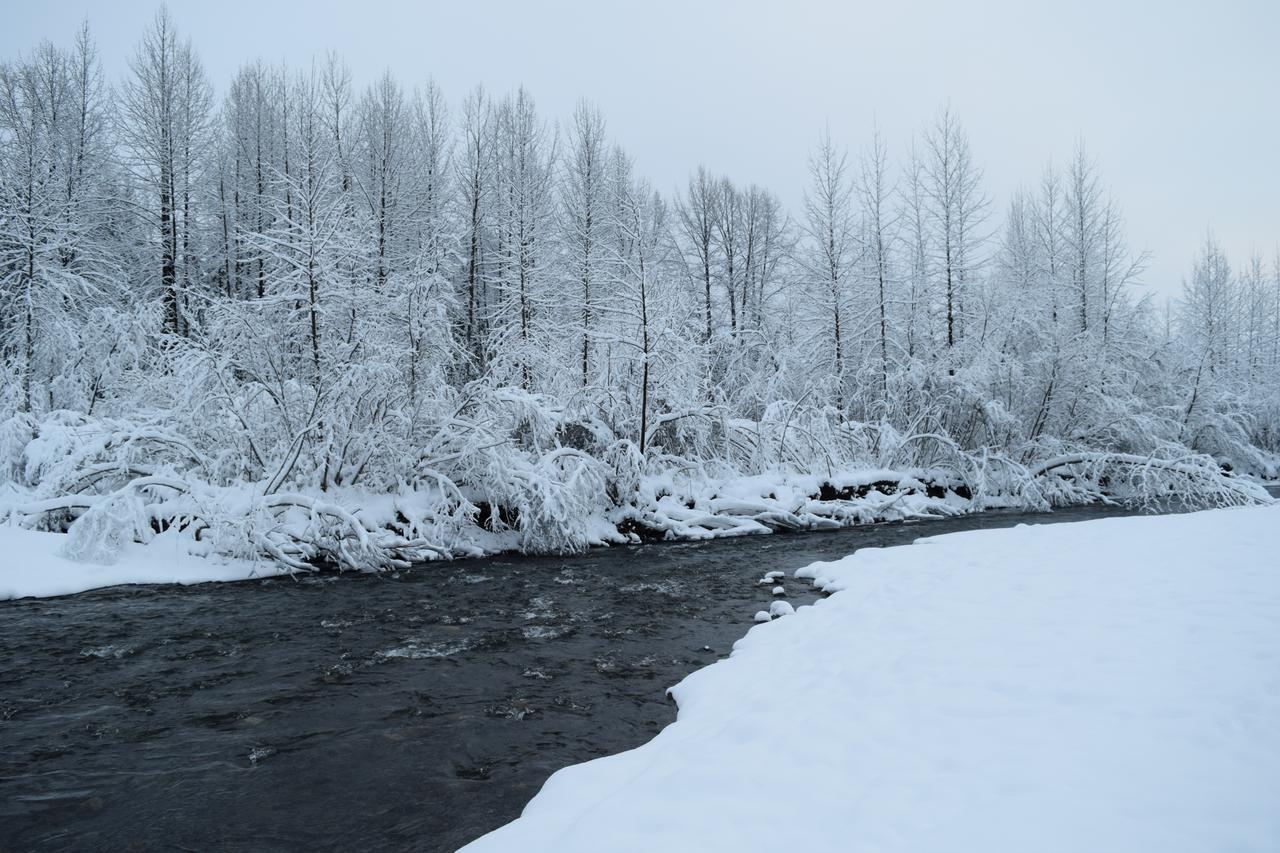 Skiview #103 Girdwood Luaran gambar