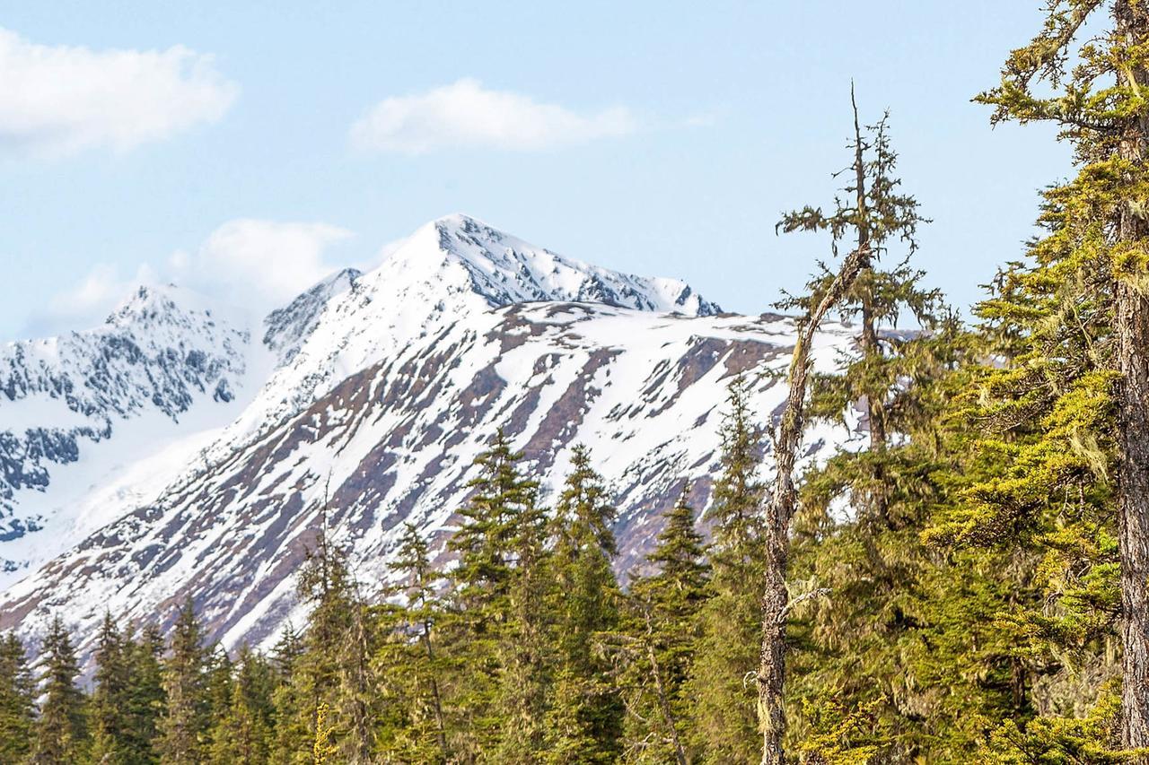 Skiview #103 Girdwood Luaran gambar